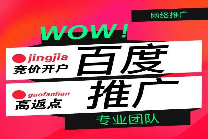 抖音信息流广告的投放策略与成功案例分析