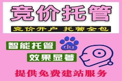解析SEM托管公司经典案例：如何制定有效的广告策略